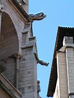 Lyon, Cathedrale Saint Jean, Gargouille, Aigle